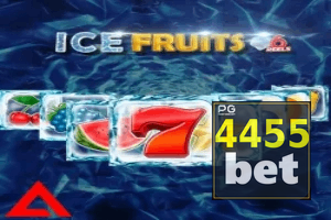 4455 BET ajuda online — chat de suporte no aplicativo oficial
